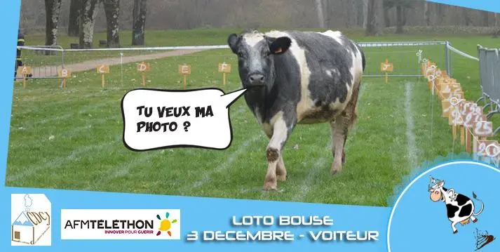 Le Téléthon, 3 décembre 2016